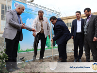کاشت نهال به یاد شهدای شرکت دخانیات ایران به مناسبت هفته منابع طبیعی