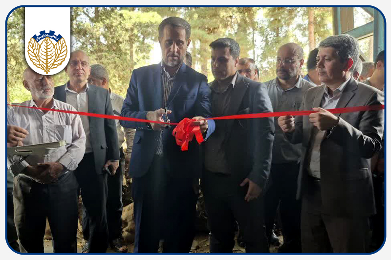 گام تازه شرکت دخانیات ایران برای حمایت از توتون‌کاران